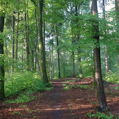 Hotel Waldgasthof Buchenhain Baierbrunn Eksteriør bilde