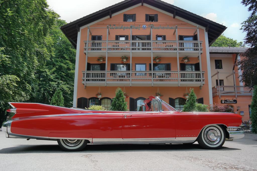 Hotel Waldgasthof Buchenhain Baierbrunn Eksteriør bilde